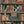 Monkey Library Wallpaper