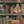 Monkey Library Wallpaper
