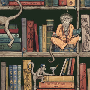 Monkey Library Wallpaper