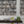 Monkey Library Wallpaper