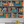 Monkey Library Wallpaper