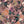 Swallows and Blooms Wallpaper