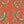 Pachamama Velvet