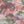 Painting in Colour Wallpaper