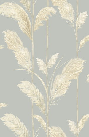 Pampas Grass Wallpaper