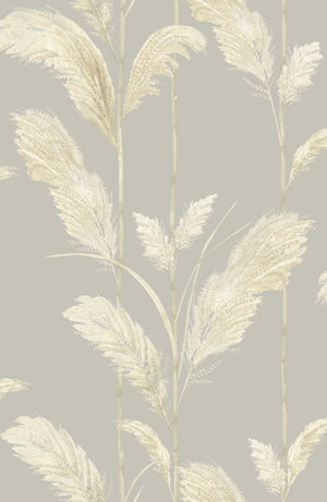 Pampas Grass Wallpaper