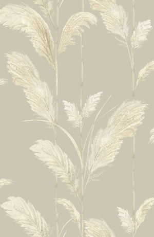 Pampas Grass Wallpaper