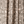 Papilio Parchment Linen