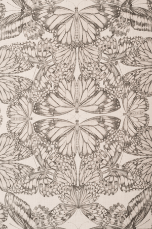 Papilio Parchment Linen