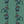 Passion Flower wallpaper by Tatie Lou in green, pattern sample of trailing passion flowers