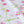 Anemone in Bloom Cotton Linen