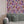 Plethora of Pansies Wallpaper