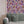 Plethora of Pansies Wallpaper