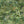 Rice Terrace Max Wallpaper