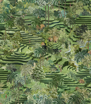 Rice Terrace Max Wallpaper