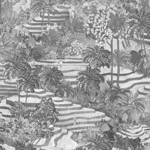 Rice Terrace Standard Wallpaper