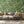 Rice Terrace Standard Wallpaper