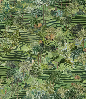 Rice Terrace Standard Wallpaper