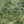 Rice Terrace Standard Wallpaper