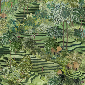 Rice Terrace Standard Wallpaper