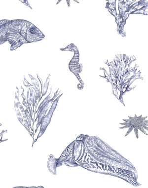 Solent Snapper Wallpaper