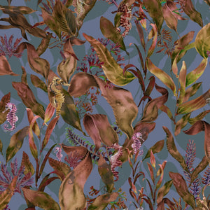 Seahorse Mangrove Wallpaper