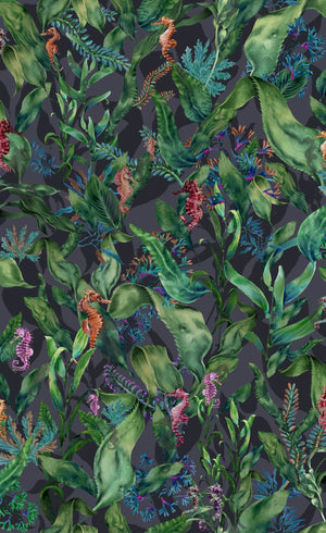 Seahorse Mangrove Wallpaper