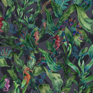 Seahorse Mangrove Wallpaper