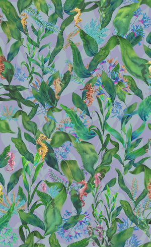 Seahorse Mangrove Wallpaper