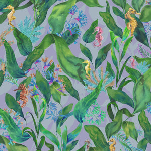 Seahorse Mangrove Wallpaper