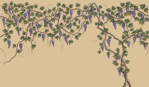 Seasons of the Vine Wallpaper