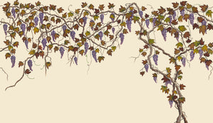 Seasons of the Vine Wallpaper