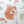 Organic Turn of the Seasons Squirrel Linen