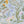 The Lost Garden in Coastal Blue Wallpaper