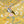 The Lost Garden Wallpaper in India Yellow