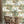 Tally Ho! Wallpaper