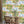 Tally Ho! Wallpaper