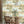 Tally Ho! Wallpaper