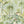 The Green House Wallpaper