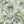 The Green House Wallpaper