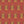 Tibetan Tiger Burnt Orange Velvet