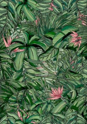 Tropical Forest Dark Green and Wallpaper