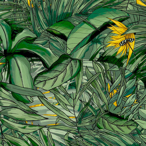 Tropical Forest Dark Green and Wallpaper