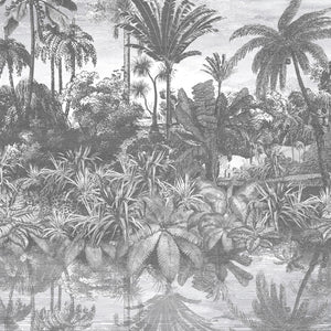 Tropical Reflections Wallpaper