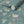 Wrens in Ivy Sustainable Wallpaper