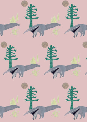 The Anteater Wallpaper