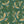 Pachamama Velvet