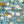 Augusta Linen