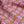 Beach Blanket Linen