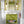 Bel Air Blossom wallpaper by Liberty James Studio in yellow-green, a mirrored blossom design in a bathroom setting